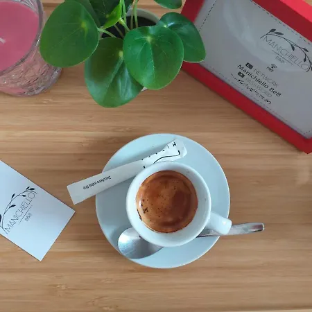 Manichiello Gasthuis 4*